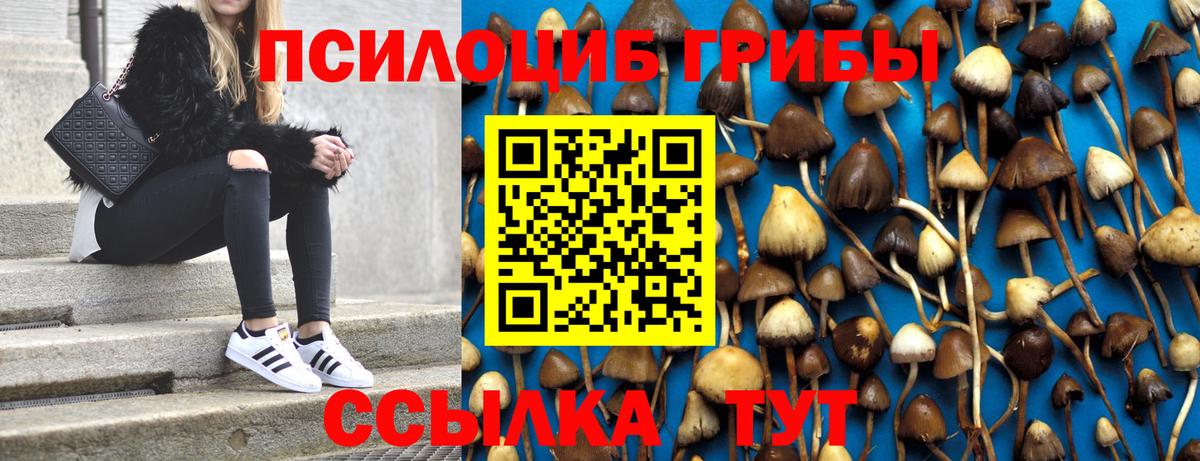 Галлюциногенные грибы GOLDEN TEACHER  Вход с VPN  Галлюциногенные грибы GOLDEN TEACHER  Зеленогорск 